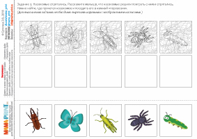 Календарное планирование насекомые средняя группа. Наблюдение за насекомыми в средней группе зарисовки.