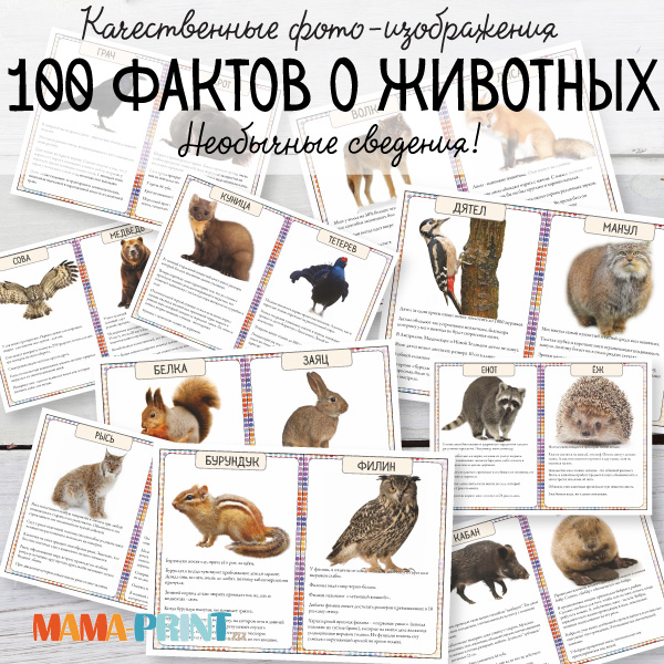 100 фактов о животных РФ