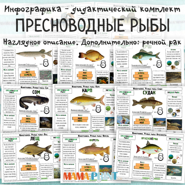 Инфографика: Пресноводные рыбы 